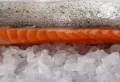 Découvrez les meilleures zones de pêche à proximité