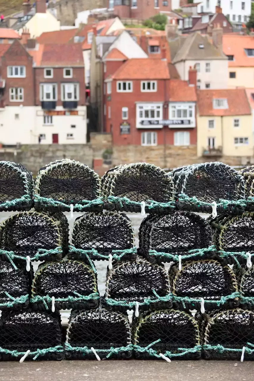 Votre communauté de pêche en ligne