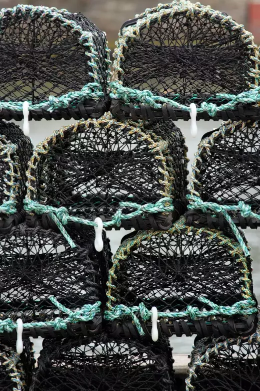 La pêche à la mouche est un défi mais enrichissante