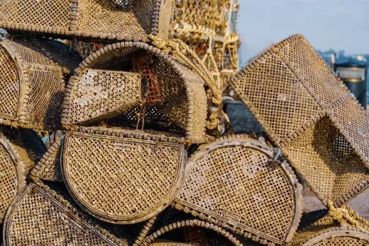 Choisissez la pêche à la ligne comme passe-temps