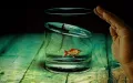 Pêcher le poisson-chat dans une rivière à proximité